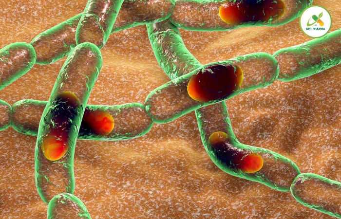 Bào tử lợi khuẩn