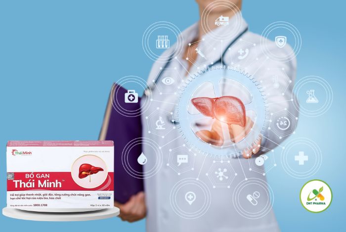 Bổ Gan Thái Minh