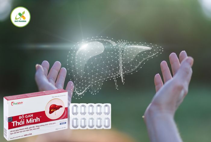 Bổ Gan Thái Minh
