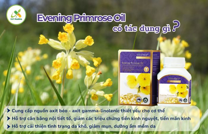 Evening Primrose Oil