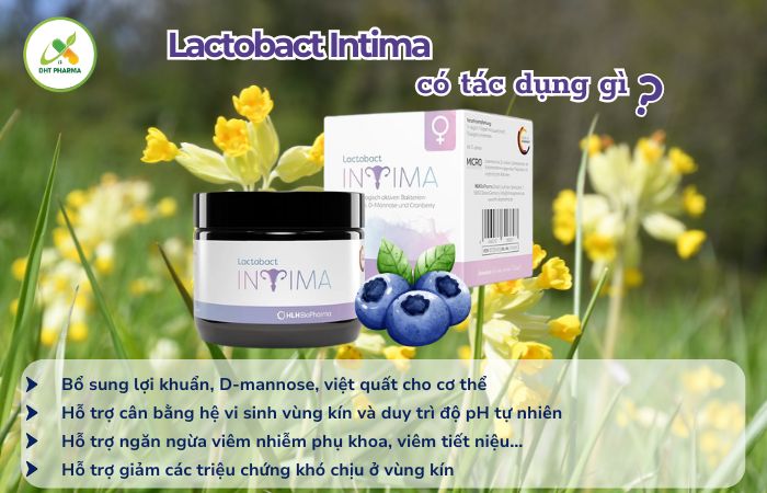 Lactobact Intima