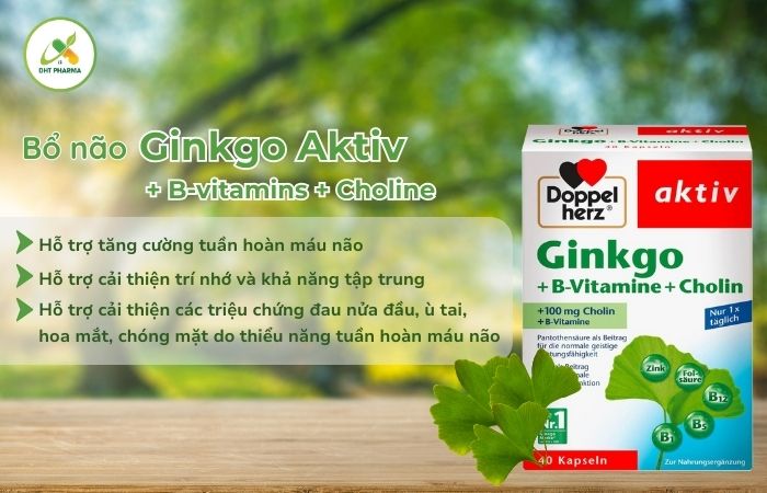 Ginkgo Aktiv