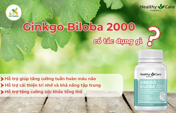 Ginkgo Biloba 2000