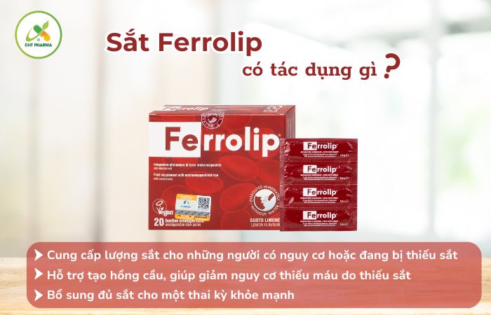 Sắt Ferrolip