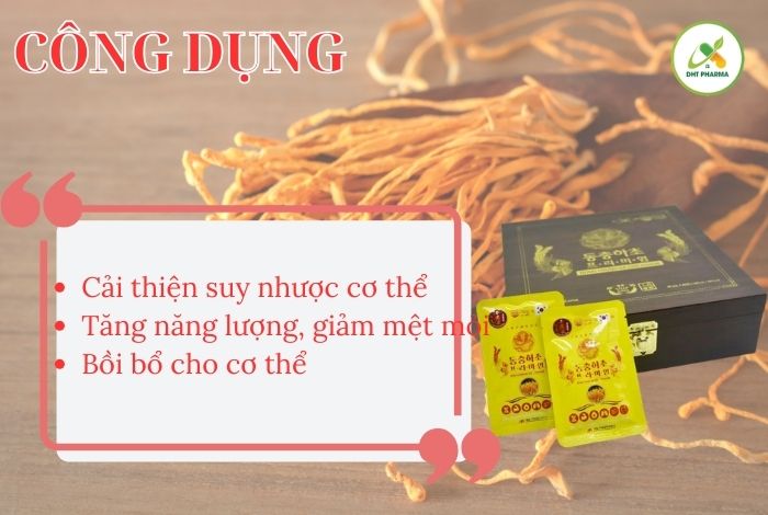 Đông Trùng Hạ Thảo hộp gỗ đen 60 gói