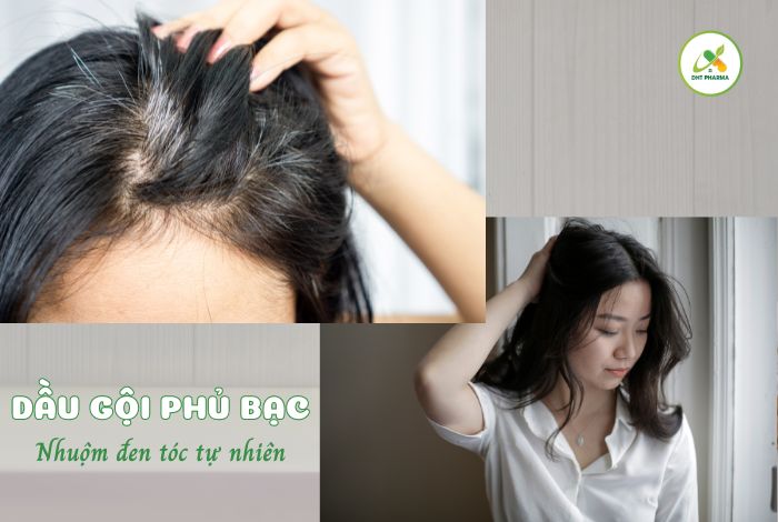 dầu gội phủ bạc tốt nhất hiện nay