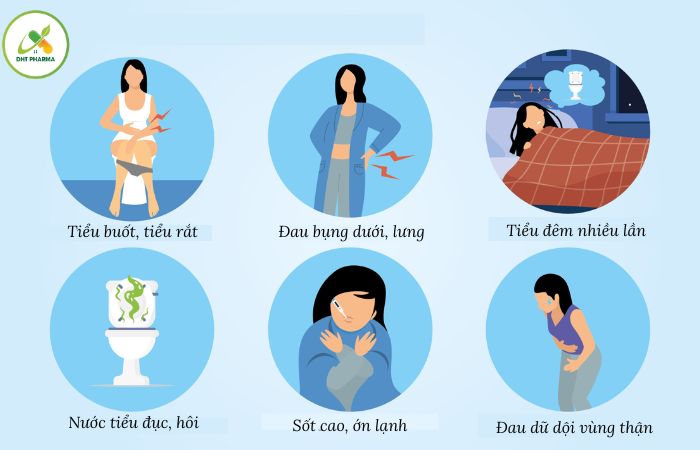 Viêm đường tiết niệu