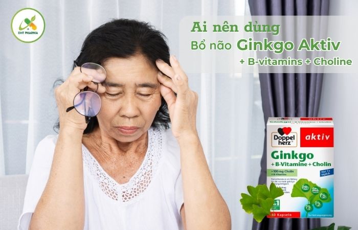 Ginkgo Aktiv