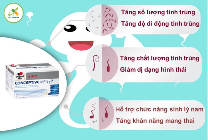 thuốc bổ tinh trùng cho nam
