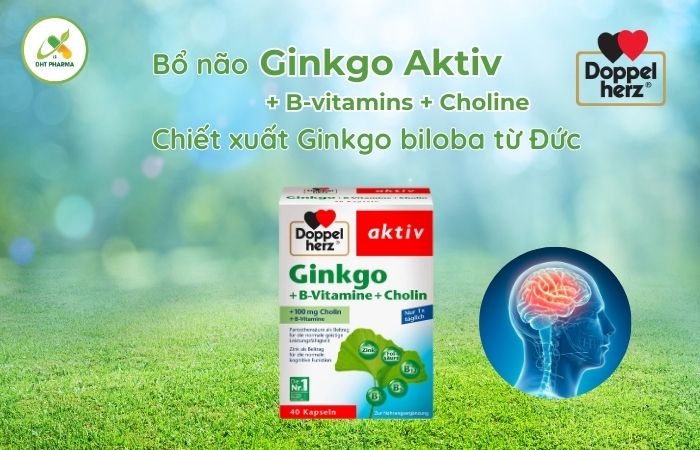 Ginkgo Aktiv