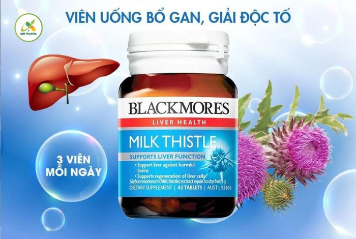 thuốc bổ gan tốt nhất