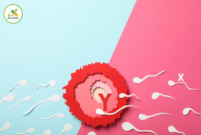 Bảng tính sinh con trai