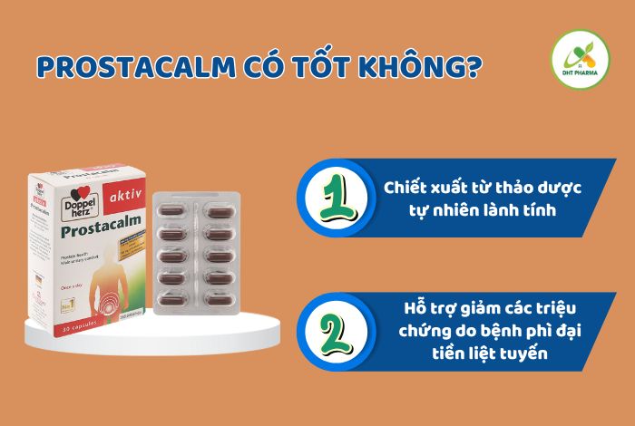 Prostacalm
