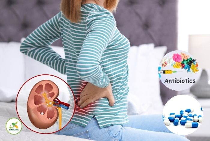 thuốc trị sỏi thận tốt nhất hiện nay