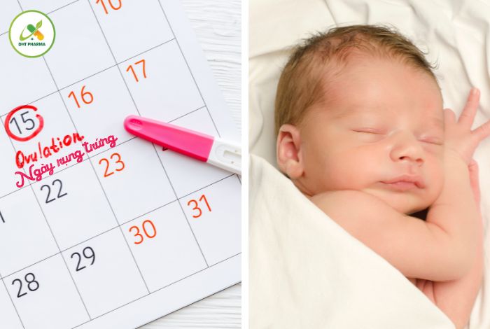 ngày rụng trứng quan hệ mấy lần để sinh con trai
