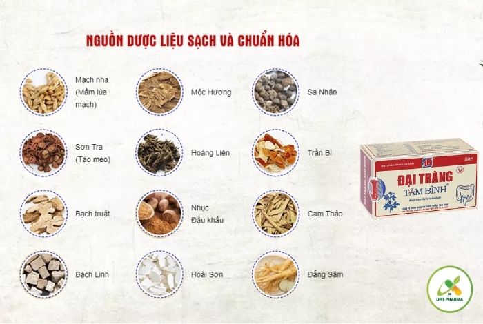 Đại Tràng Tâm Bình