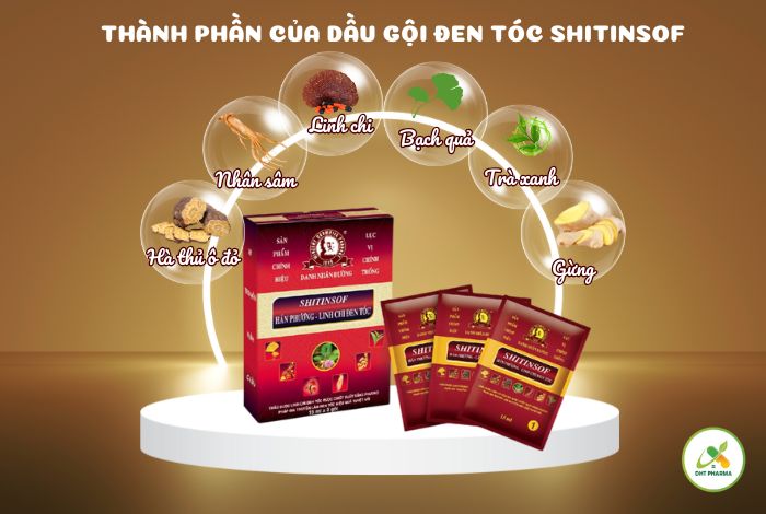 dầu gội đen tóc Shitinsof
