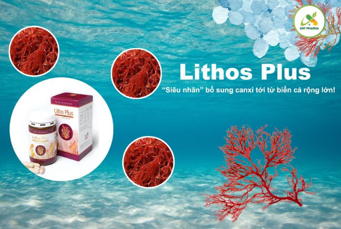 Litho Plus