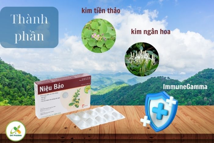 Niệu Bảo