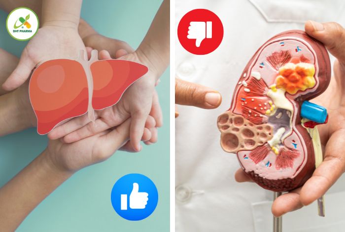 Uống thuốc bổ gan có hại thận không