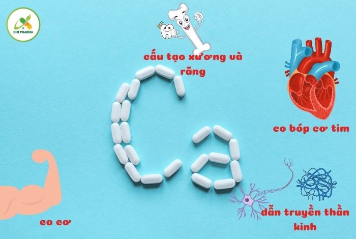 canxi có trong thực phẩm nào