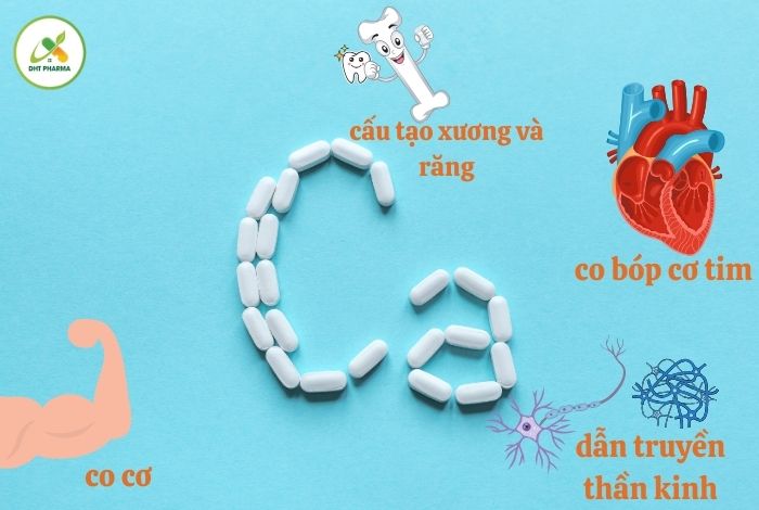 uống sắt và canxi vào thời điểm nào trong ngày tốt nhất