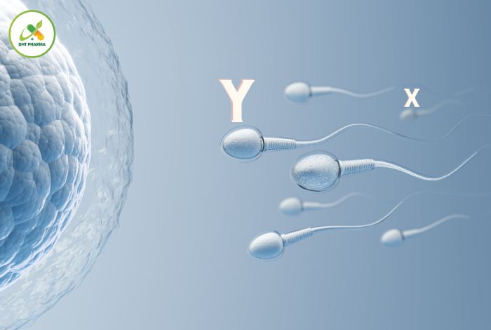 Ăn gì để sinh con trai