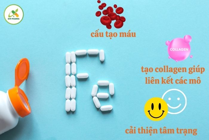 uống sắt và canxi vào thời điểm nào trong ngày tốt nhất