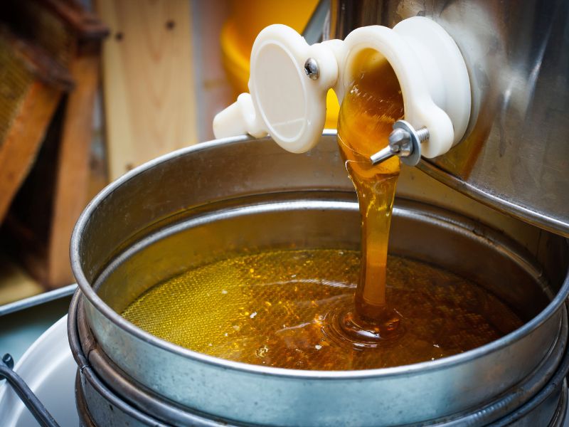 Mật Ong Hoa Cà Phê là gì? Lợi ít và những điều lưu ý khi sử dụng mật ong hoa cà phê.