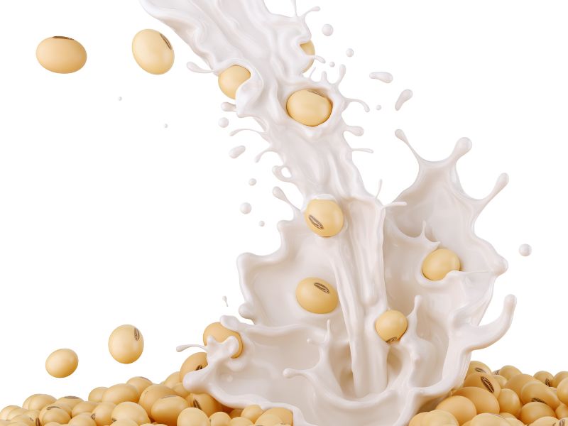 Cách làm sữa đậu nành bằng máy làm sữa hạt: Thơm ngon, bổ dưỡng, đơn giản tại nhà