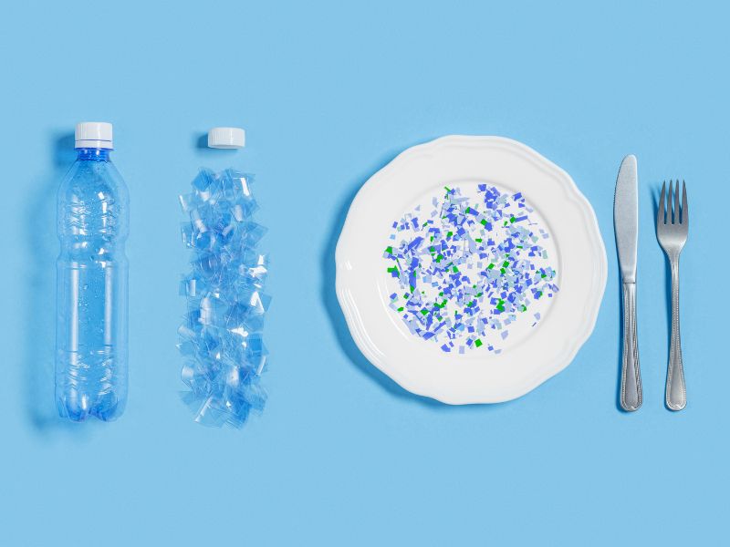 Các nguồn gốc chính của hạt vi nhựa