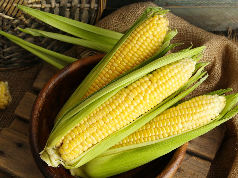 Cách làm Sữa ngô bằng Máy làm sữa hạt: Thơm ngon, bổ dưỡng, đơn giản tại nhà