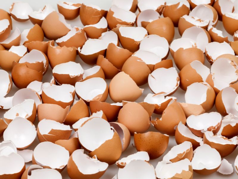 Làm sạch bình giữ nhiệt bằng vỏ trứng và baking soda