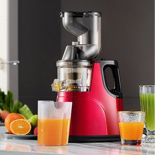 (Review) Top 6 máy ép trái cây tốc độ chậm tốt nhất 2022