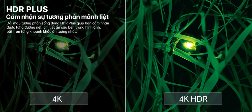 Android Tivi AQUA QLED 4K 65 inch LE65AQTS6UG