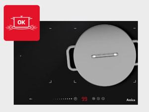 Bếp từ dương 2 vùng nấu Taurus Darkfire-IH3500