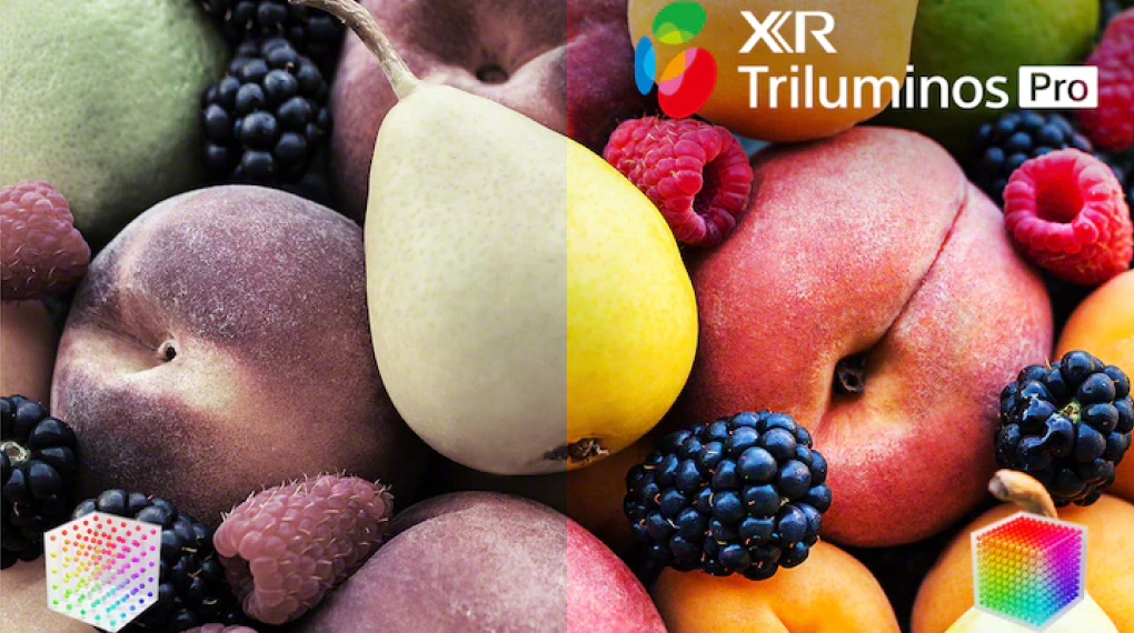 Google Tivi Mini LED Sony 4K 65 inch XR-65X95K model 2022