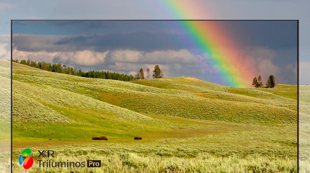 Google Tivi Sony 4K 55 inch KD-55X85K mới 2022 giá rẻ