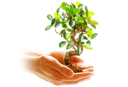 Lò nướng Bosch serie 4 HBS534BB0B tiết kiệm năng lượng