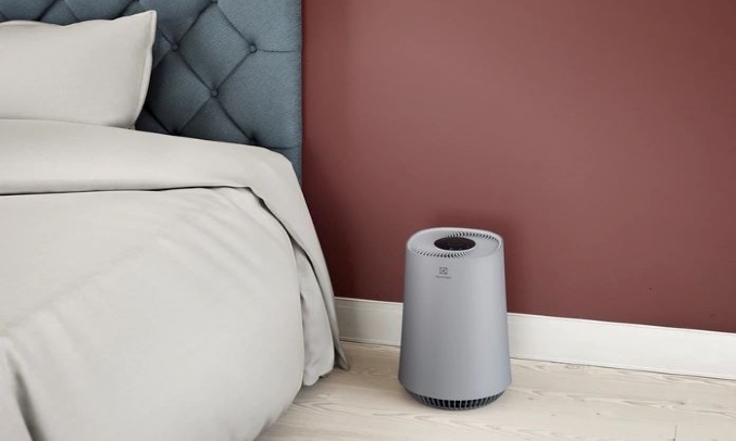 Máy lọc không khí Electrolux inverter FA31-202GY giá rẻ