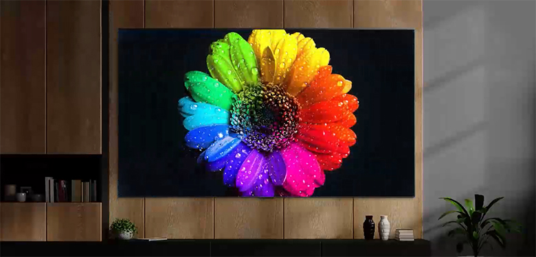 Smart Tivi QNED LG 4K 65 inch 65QNED91SQA