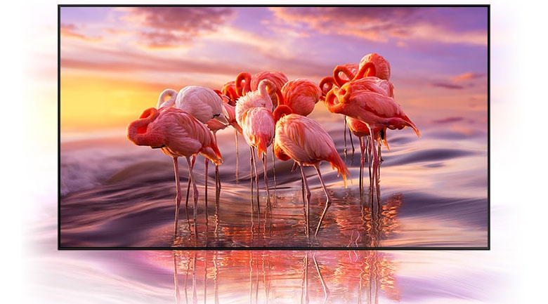 Smart Tivi Neo QLED Samsung 4K 98 inch QA98QN90A