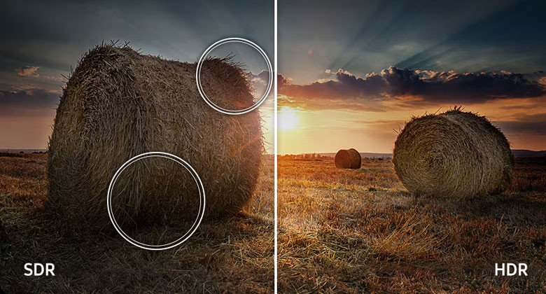 Samsung QA75Q7F5 - Dải tương phản rộng tái hiện từng sắc thái điện ảnh