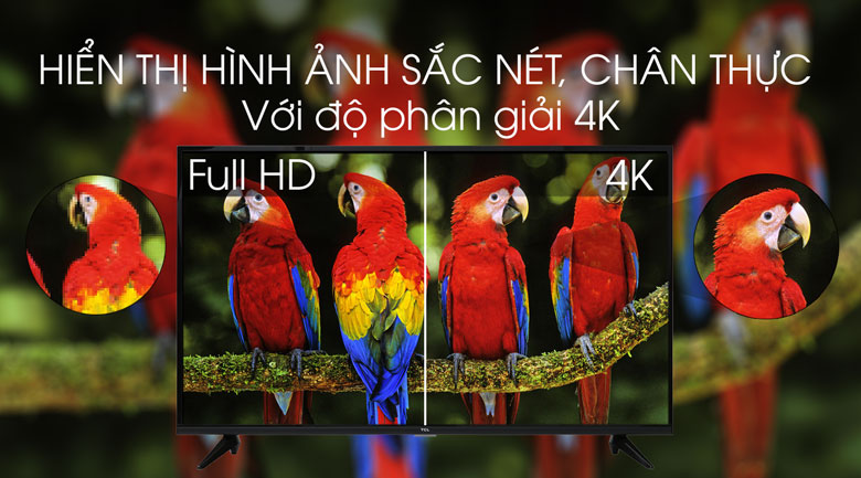 Android Tivi TCL 4K 43 inch 43T65 màn hình 4K sắc nét