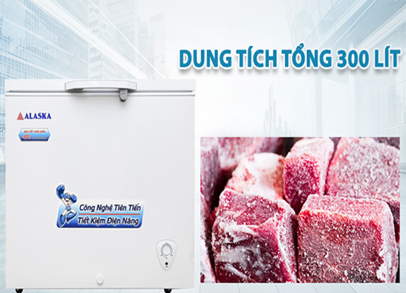 Tủ đông Alaska 300 lít BD-300