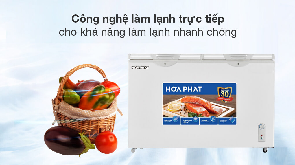 Tủ đông Hòa Phát 2 cánh 352 lít HPF-AD6352 giá rẻ