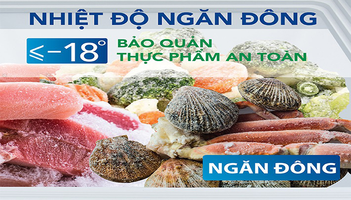 Tủ đông Hòa Phát 2 ngăn 205 lít dàn nhôm HCF 506S2N2 giá rẻ