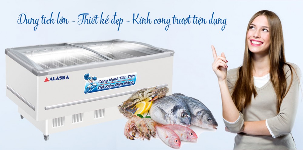 Tủ Đông Kính cong Alaska 400 lít KN 400