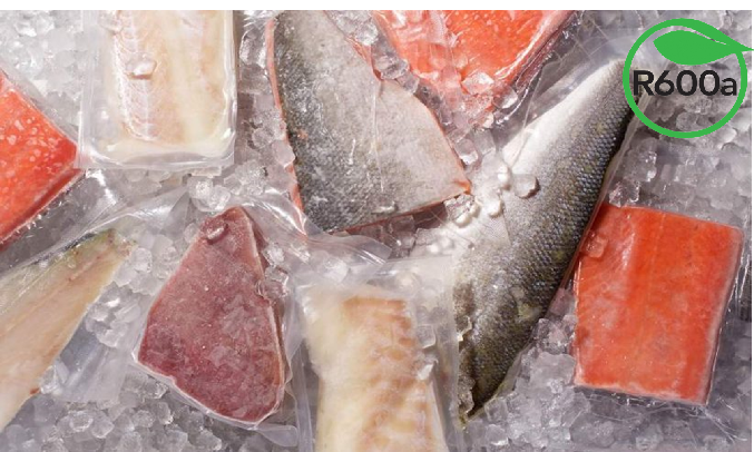 Tủ đông Sanaky 270 lít VH-365A2