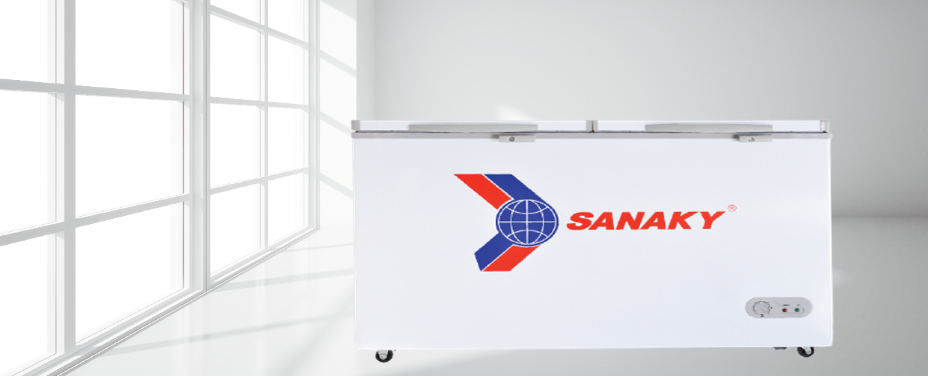 Tủ đông Sanaky 270 lít VH-365A2
